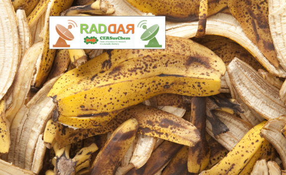 Banana waste gains new value in sustainable water treatment