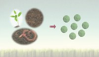 A more natural approach to catalysts