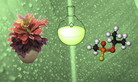Global project will help promote Green Chemistry in developing countries