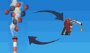 Metal-free catalyst, efficient for the conversion of carbon dioxide to fuels, is developed