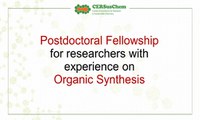 Postdoctoral fellowship for researchers with experience on Organic Synthesis