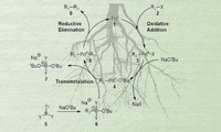 Suzuki reaction promoted by catalyst produced from plant roots