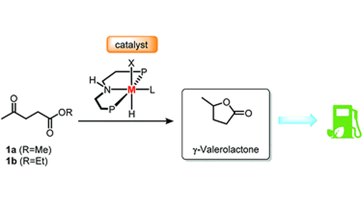 Efficient catalytic hydrogenation of alkyl levulinates to γ-valerolactone