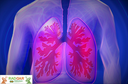 Cientistas descobrem nova função da bromação de proteínas em tecidos pulmonares