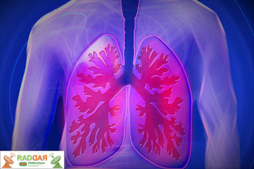 Cientistas descobrem nova função da bromação de proteínas em tecidos pulmonares