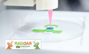 Esponjas de celulose com partículas de prata são produzidas por método limpo e mostram potencial biomédico
