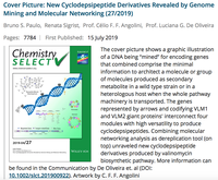  Artigo do CERSusChem é capa do ChemistrySelect