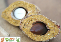 Cascas e sementes de frutas da Amazônia podem ser aproveitadas na produção de bioprodutos sustentáveis