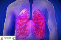 Cientistas descobrem nova função da bromação de proteínas em tecidos pulmonares