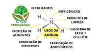 Estudos apresentam três rotas inovadoras para a produção sustentável de amônia