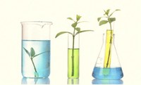 Oportunidades em Sustentabilidade