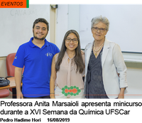 Professora Anita Marsaioli apresenta minicurso durante a XVI Semana da Química UFSCar