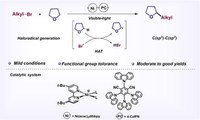 Publicação do CERSusChem está nos highlights do Portal Organic Chemistry