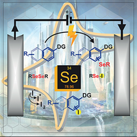 Trabalho publicado pelo grupo do Prof. Braga é capa do Eur. J. Org. Chem.